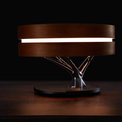 Circle of Light Smart Desk Lamp