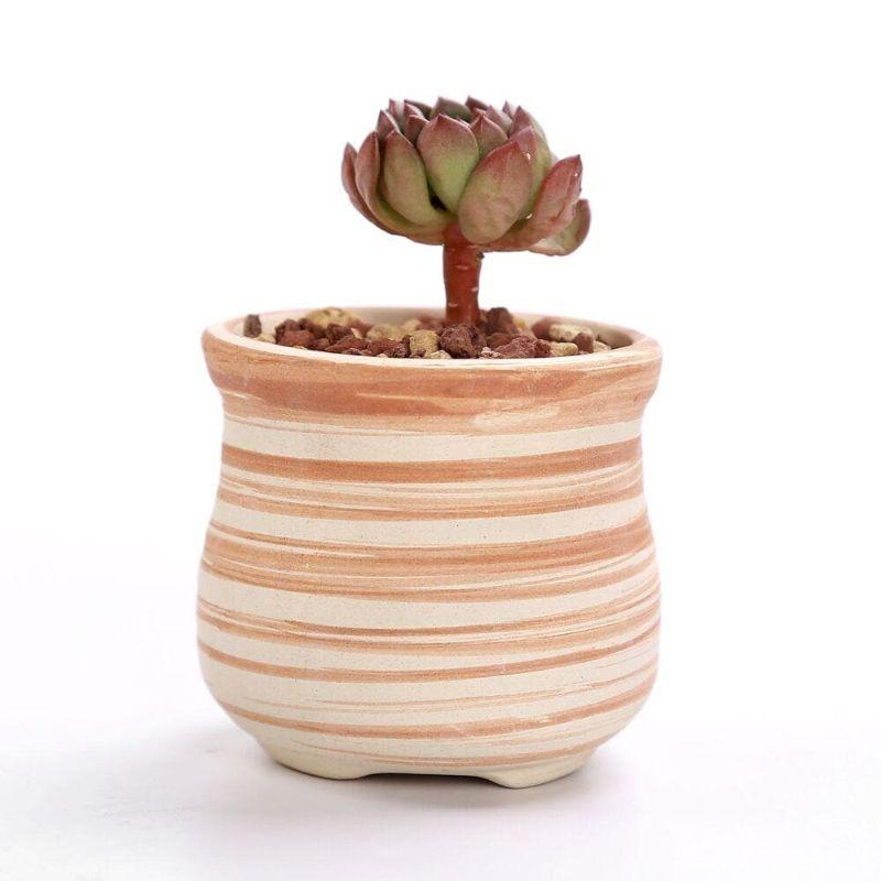 Mini Striped Succulent Flower Pots