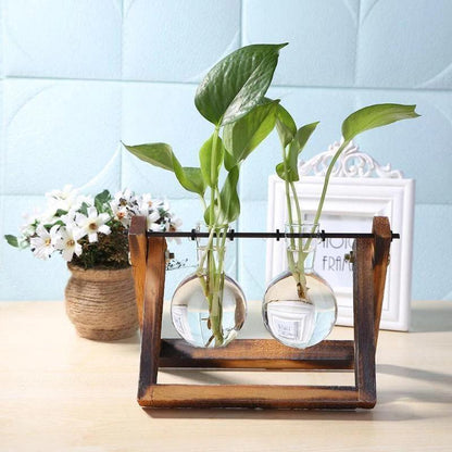 Lvdia Hydroponic Planter