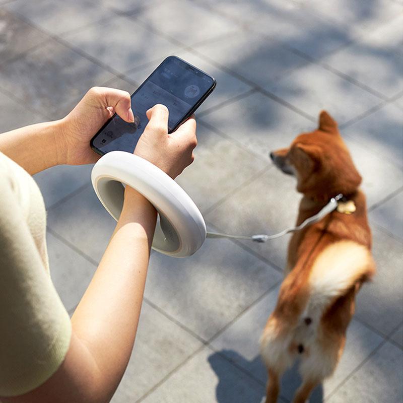 UFO Retractable Leash