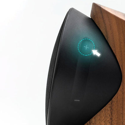 Zowoo Smart Bluetooth TWS Speaker